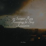 25 Summer Rain Recordings for Sleep Relaxation