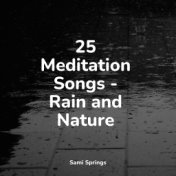 25 Meditation Songs - Rain and Nature
