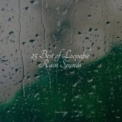 25 Best of Loopable Rain Sounds