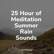 25 Hour of Meditation Summer Rain Sounds