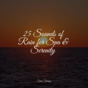 25 Sounds of Rain for Spa & Serenity