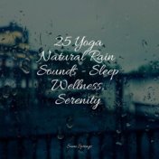 25 Yoga Natural Rain Sounds - Sleep Wellness, Serenity