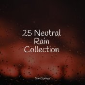 25 Neutral Rain Collection