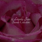25 Loopable Rain Sounds Collection