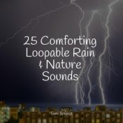 25 Comforting Loopable Rain & Nature Sounds