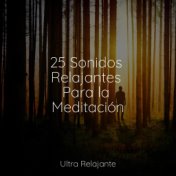 25 Sonidos Relajantes Para la Meditación