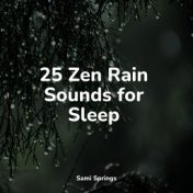 25 Zen Rain Sounds for Sleep