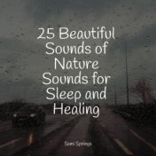25 Beautiful Sounds of Nature Sounds for Sleep and Healing
