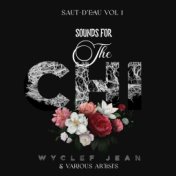 Saut-d’Eau Vol. 1: Sounds for The Chi