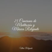 25 Canciones de Meditación y Música Relajante