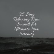 25 Sing Relaxing Rain Sounds for Ultimate Spa Serenity