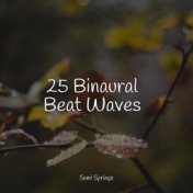25 Binaural Beat Waves