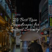 25 Best Rain Soundscapes for Instant Serenity