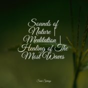 Sounds of Nature | Meditation | Healing of The Most Waves