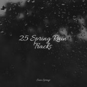 25 Spring Rain Tracks