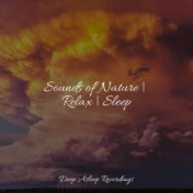 Sounds of Nature | Relax | Sleep