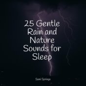 25 Gentle Rain and Nature Sounds for Sleep