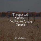 Terapia del Sueño | Meditación Spa y Dormir