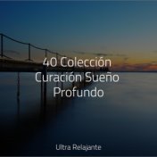 40 Colección Curación Sueño Profundo