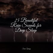 25 Beautiful Rain Sounds for Deep Sleep