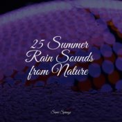 25 Summer Rain Sounds from Nature