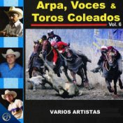 Arpa, Voces & Toros Coleados, Vol. 6