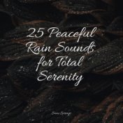 25 Peaceful Rain Sounds for Total Serenity