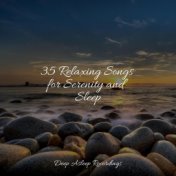 35 Relaxing Songs for Serenity and Sleep