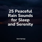 25 Peaceful Rain Sounds for Sleep and Serenity