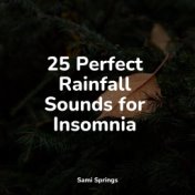 25 Perfect Rainfall Sounds for Insomnia