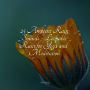 25 Ambient Rain Sounds - Loopable Rain for Yoga and Meditation