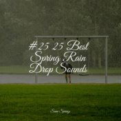 #25 25 Best Spring Rain Drop Sounds