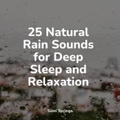 25 Natural Rain Sounds for Deep Sleep and Relaxation