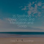 35 Soothing Deep Sleep and Meditation and Sleep