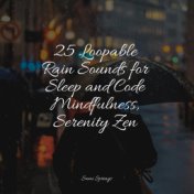 25 Loopable Rain Sounds for Sleep and Code Mindfulness, Serenity Zen