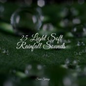 25 Light Soft Rainfall Sounds