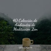 40 Colección de Ambientes de Meditación Zen