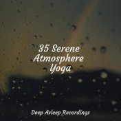 35 Serene Atmosphere Yoga