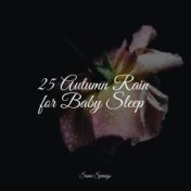 25 Autumn Rain for Baby Sleep