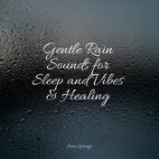 Gentle Rain Sounds for Sleep and Vibes & Healing