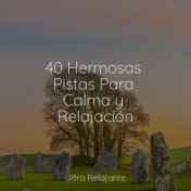 40 Hermosas Pistas Para Calma y Relajación