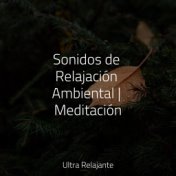 Sonidos de Relajación Ambiental | Meditación
