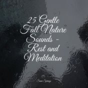 25 Gentle Fall Nature Sounds - Rest and Meditation