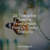 25 Tranquilos Sonidos Primaverales Para Un Sueño Tranquilo