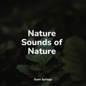 Nature Sounds of Nature