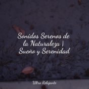 Sonidos Serenos de la Naturaleza | Sueño y Serenidad