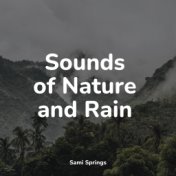 Sounds of Nature and Rain