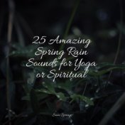 25 Amazing Spring Rain Sounds for Yoga or Spiritual