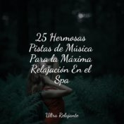 25 Hermosas Pistas de Música Para la Máxima Relajación En el Spa