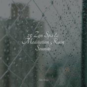 25 Zen Spa & Meditation Rain Sounds
